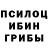Галлюциногенные грибы мицелий Kayf 999.99