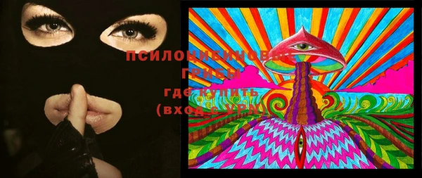 ПСИЛОЦИБИНОВЫЕ ГРИБЫ Белокуриха